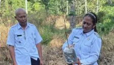Foto : Wakil Bupati Apremoi Dethan didampingi Camat Rote Selatan Tanam Anakan Durian, dari Aspirasi Anggota DPR RI Usman Husin