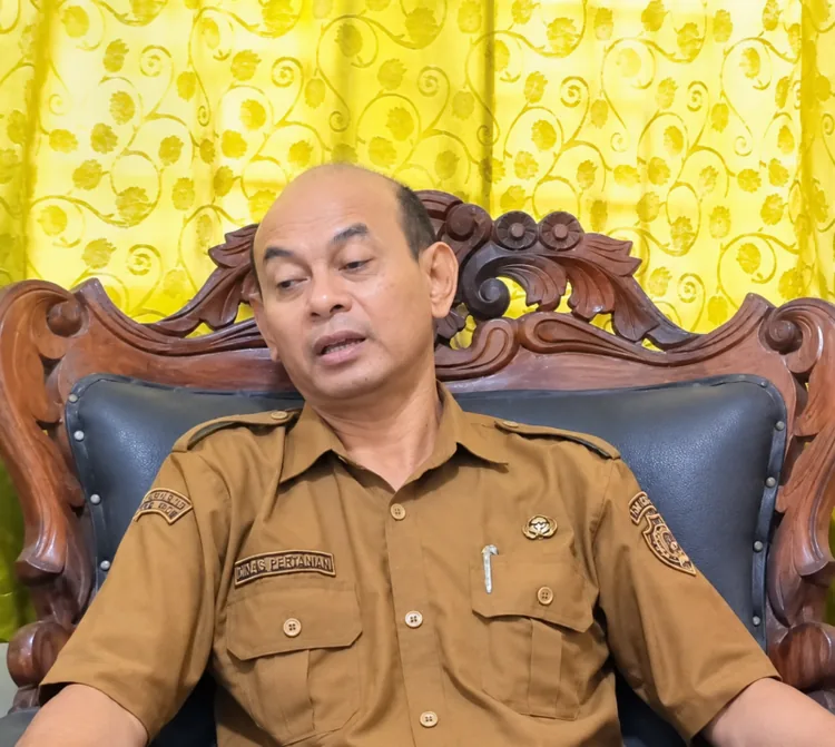 Foto : Nixon Baluk